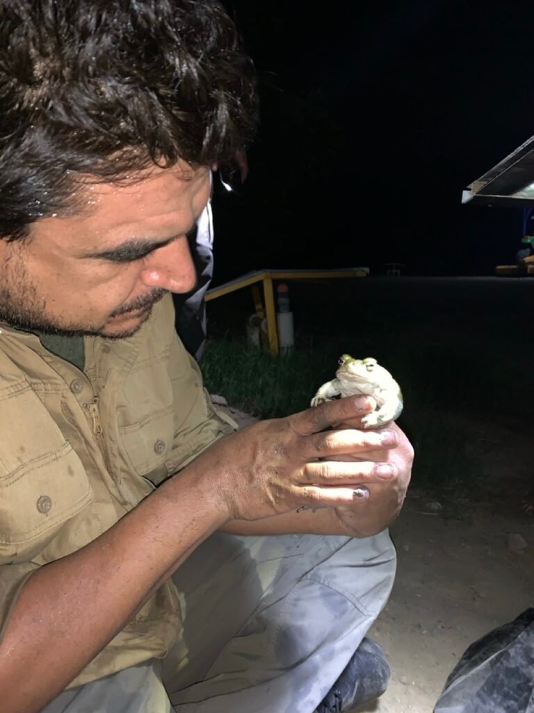 Sacred Heart Sonora | Bufo Alvarius Tulum