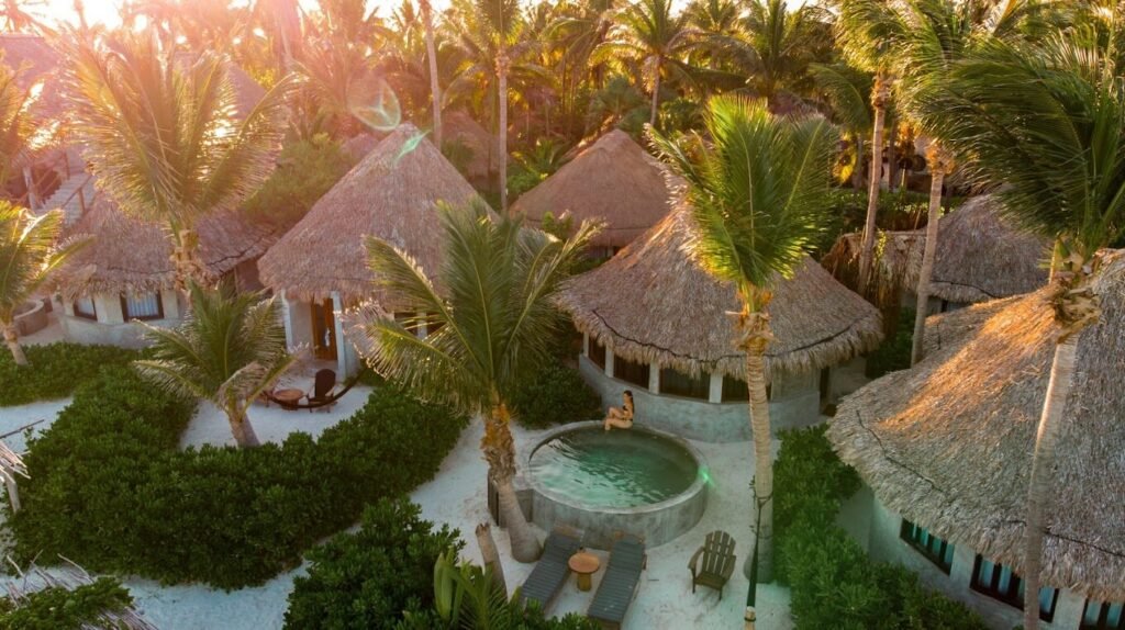 Sacred Heart Tulum Bufo Alvarius Maya Tulum