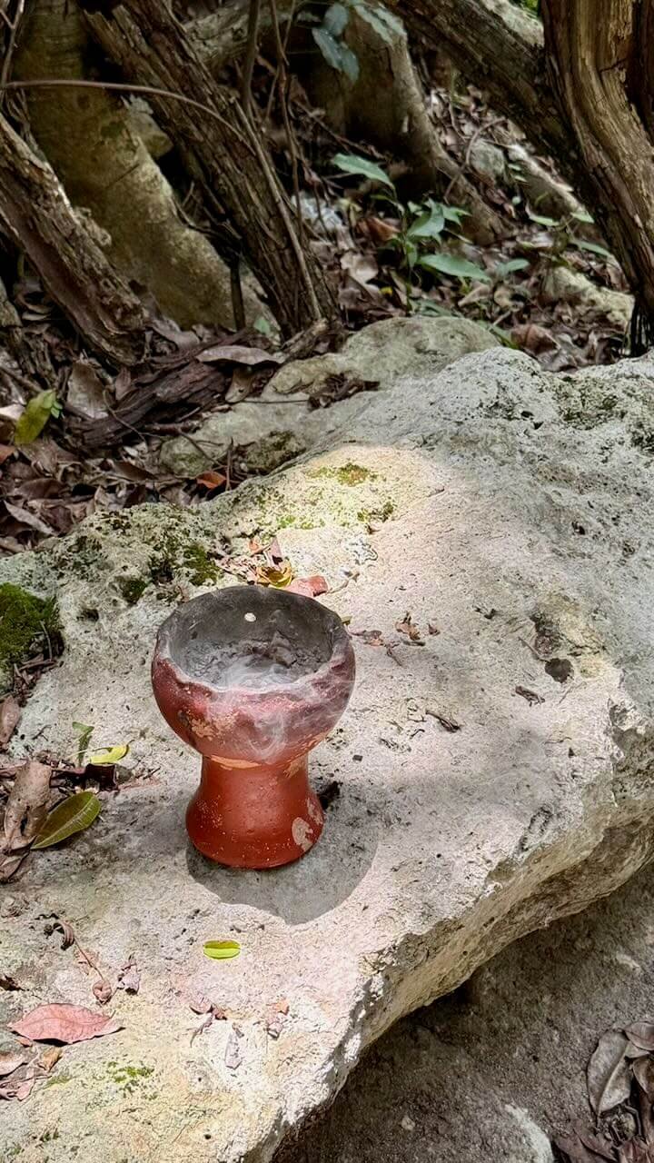 Pixan Sanctuary Bufo Kaan Ceremony Tulum Mexico