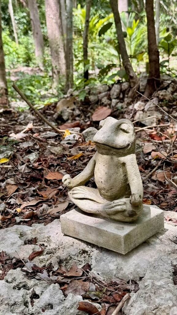 Pixan Sanctuary Bufo Kaan Ceremony Tulum Mexico