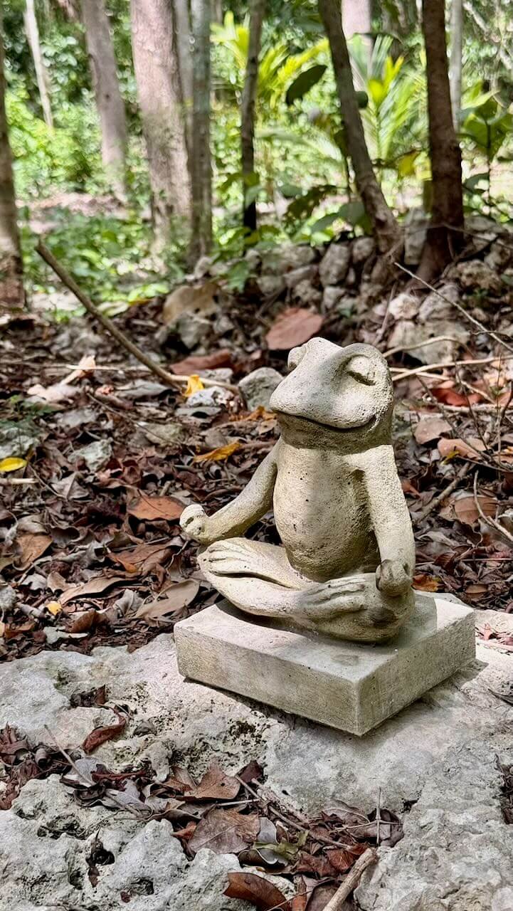 Pixan Sanctuary Bufo Kaan Ceremony Tulum Mexico